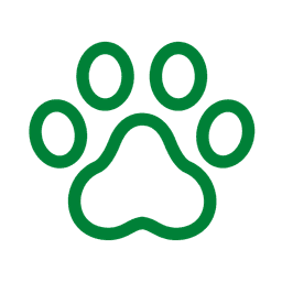 Pet Friendly